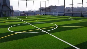 足球场建设公司